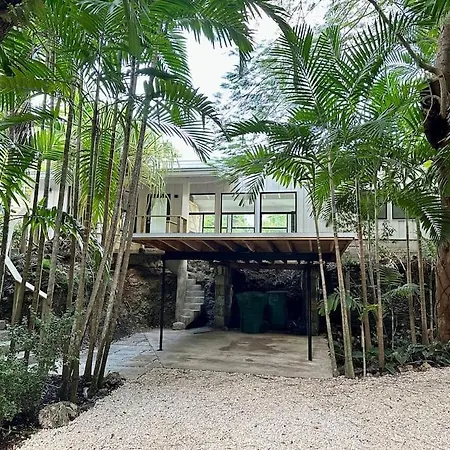 Coconut Grove Mid-Century Jungle Oasis Villa
